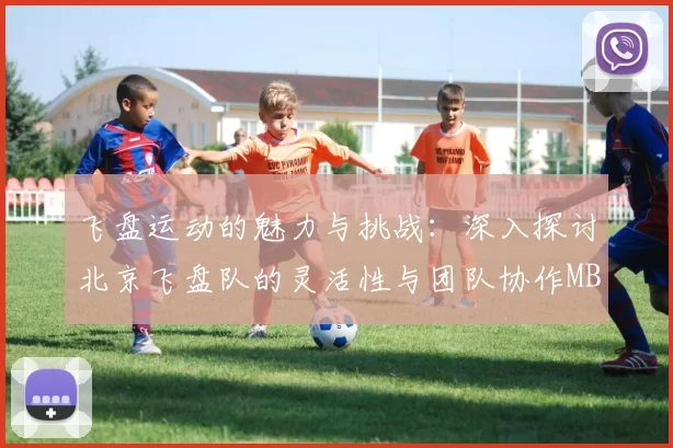 飞盘运动的魅力与挑战：深入探讨北京飞盘队的灵活性与团队协作MBA