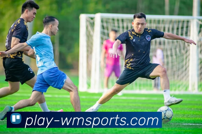 完美体育官网发展历程