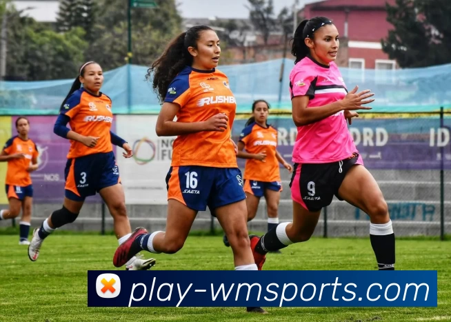 App Interface Preview