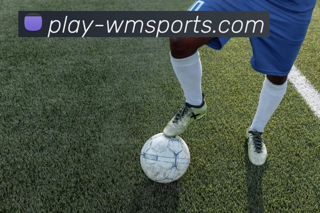 完美体育官网APP 封面图